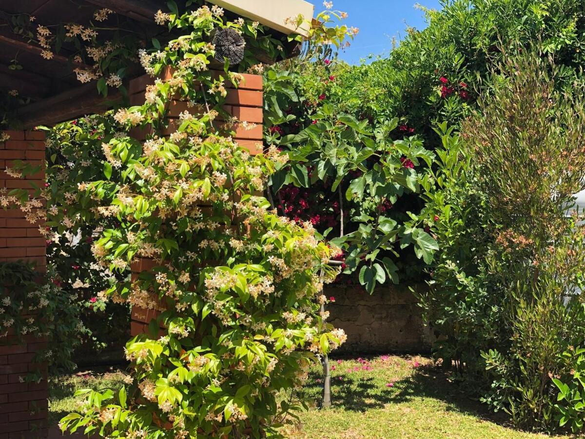 Le Tre Palme Villa Fontane Bianche Dış mekan fotoğraf