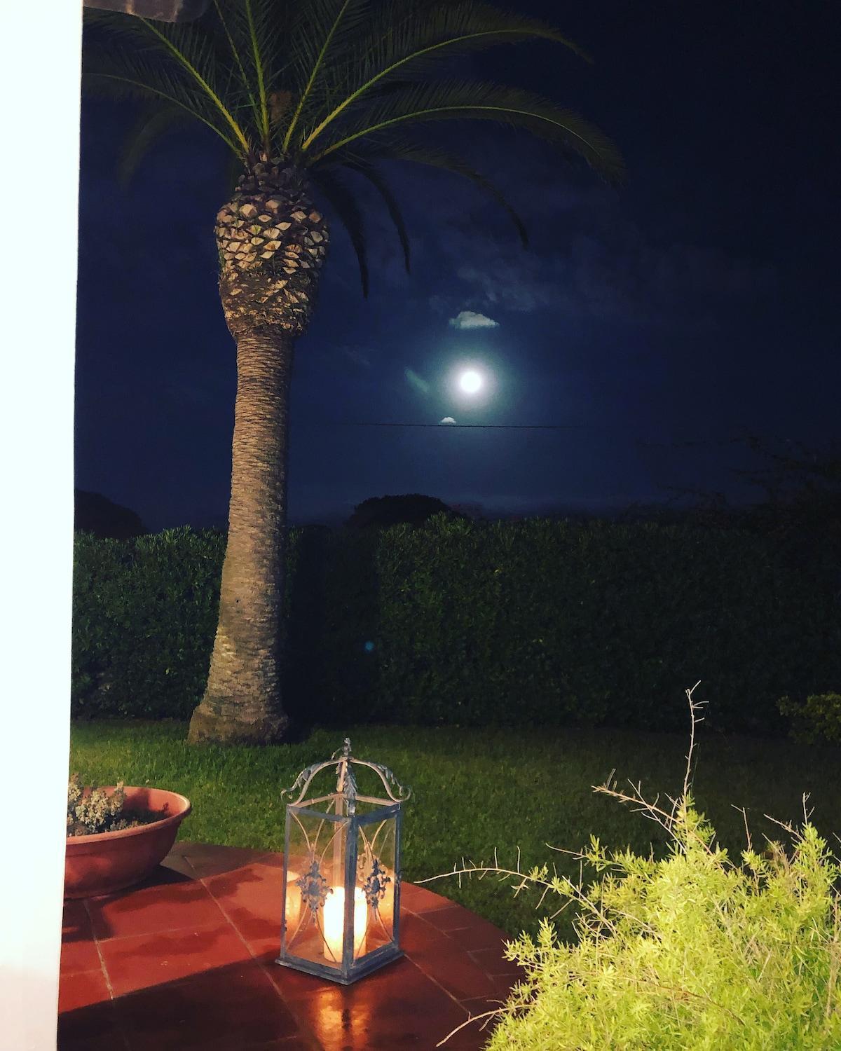 Le Tre Palme Villa Fontane Bianche Dış mekan fotoğraf