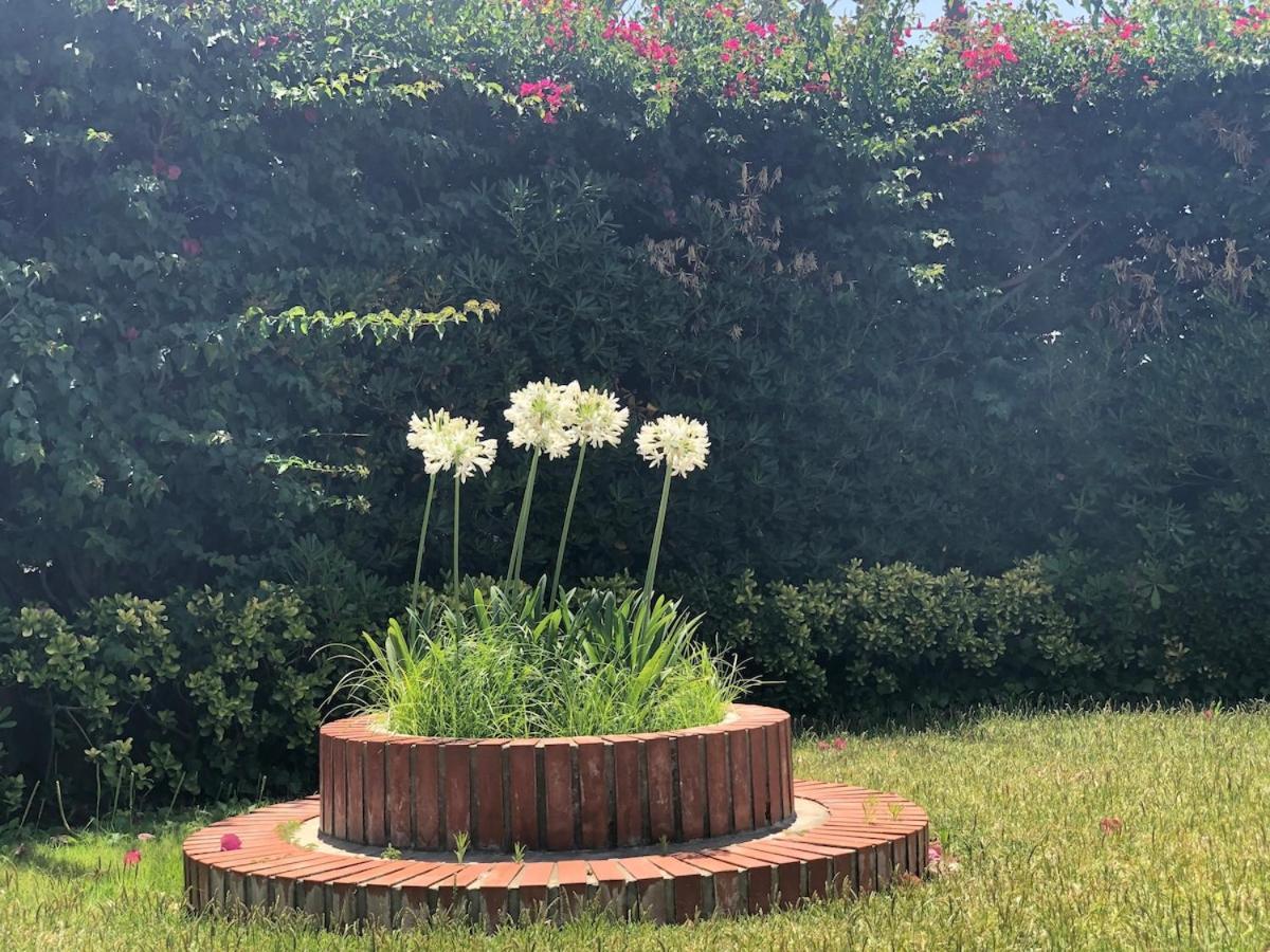 Le Tre Palme Villa Fontane Bianche Dış mekan fotoğraf